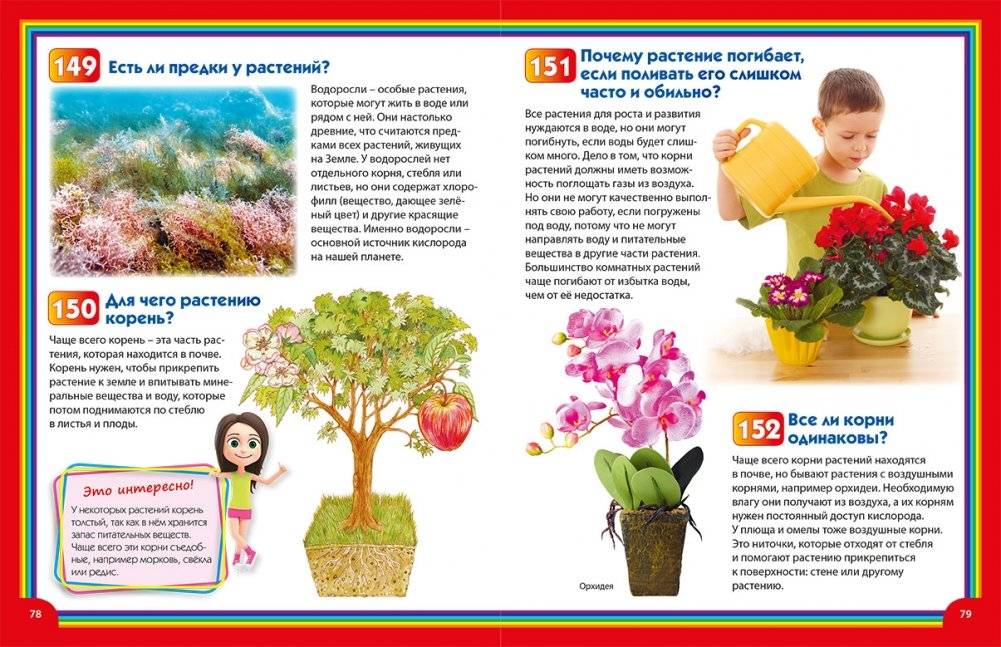 Энциклопедия для маленьких почемучек и любознашек фото книги 6