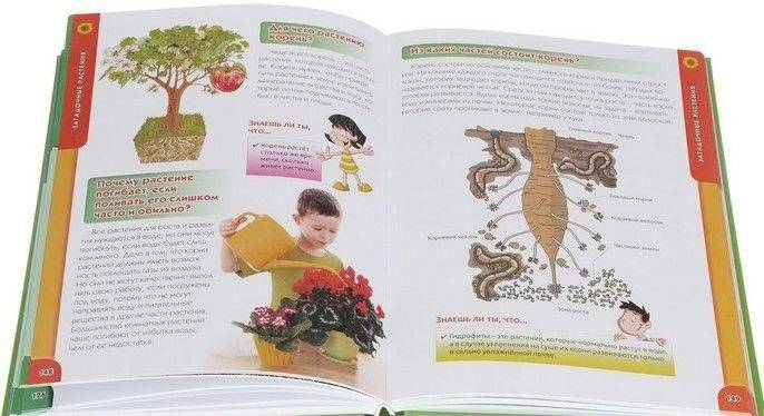 Новая детская энциклопедия в вопросах и ответах фото книги 4