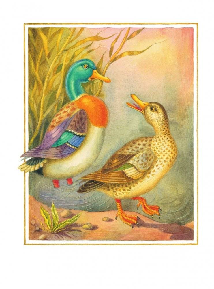 Серая Шейка с иллюстрациями Людмилы Карпенко фото книги 3