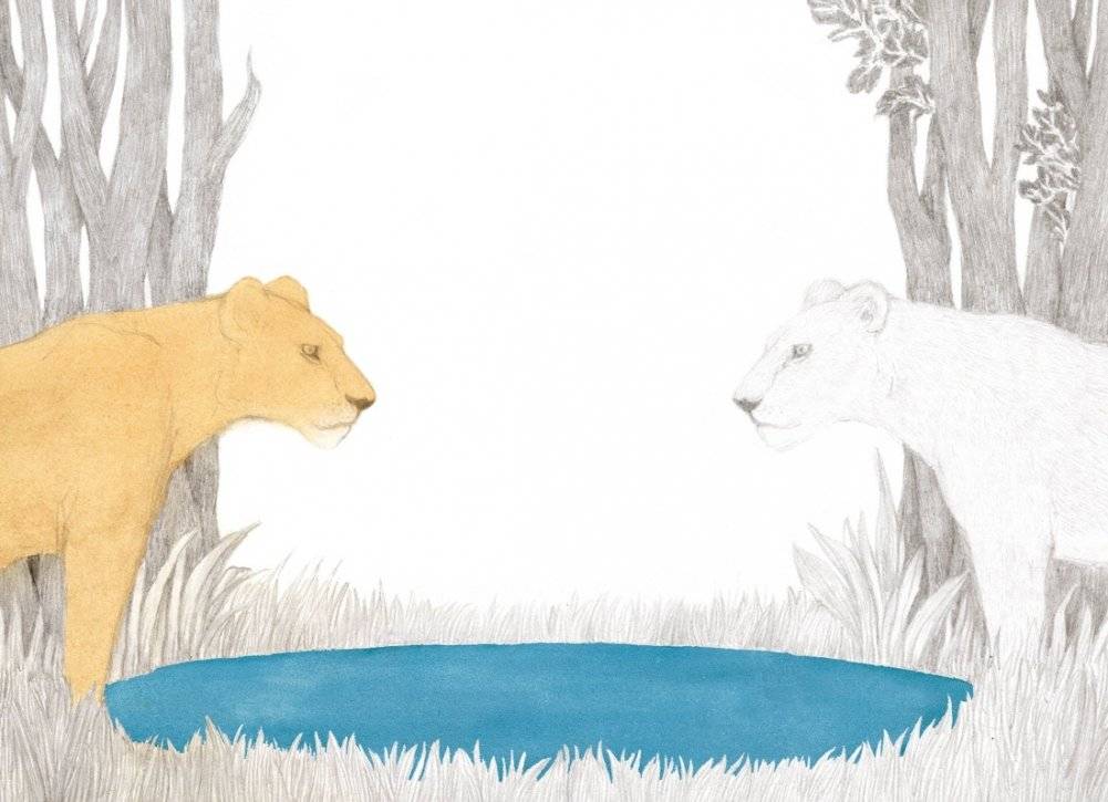 Незваные гости фото книги 6