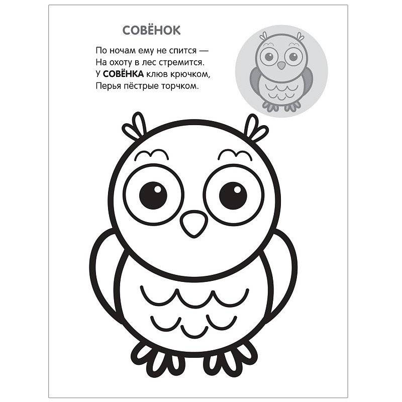 Раскраска с наклейками "В лесу" фото книги 3