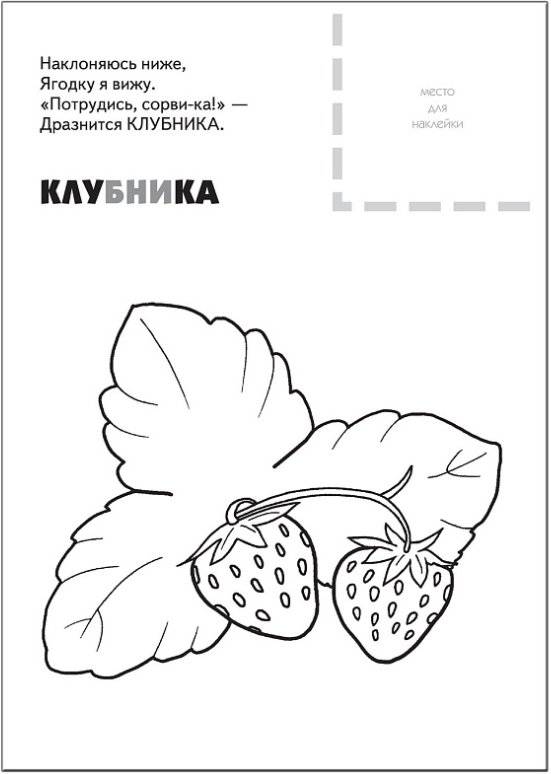 Раскраска с наклейками. Ягоды фото книги 4