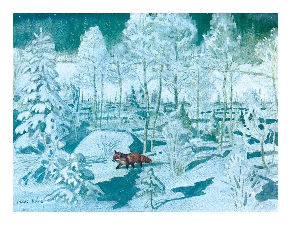 Томтен и лис фото книги 5