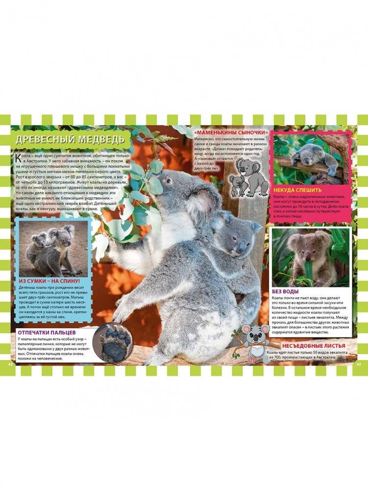 Детеныши животных фото книги 6