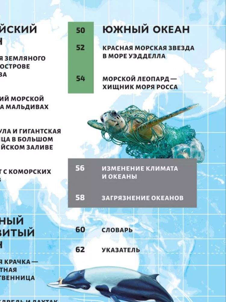 Моря и океаны. Иллюстрированный атлас фото книги 3