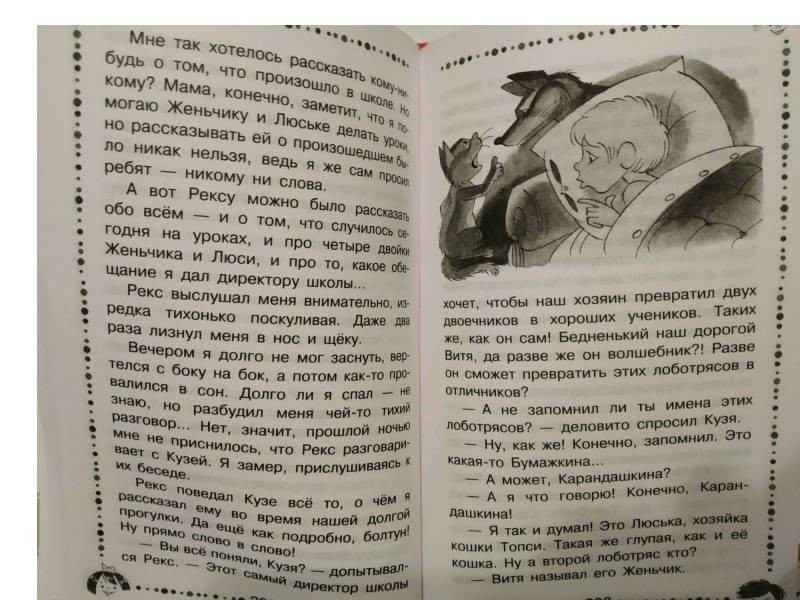 В стране невыученных уроков фото книги 3
