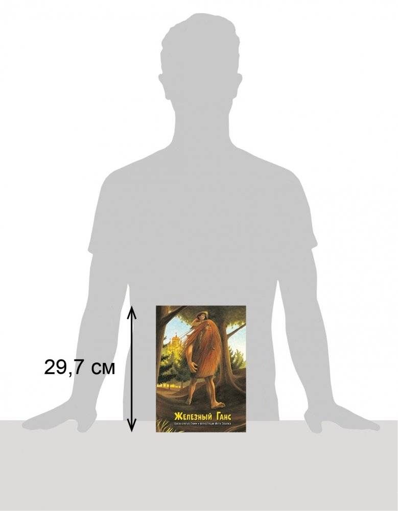 Железный Ганс фото книги 2