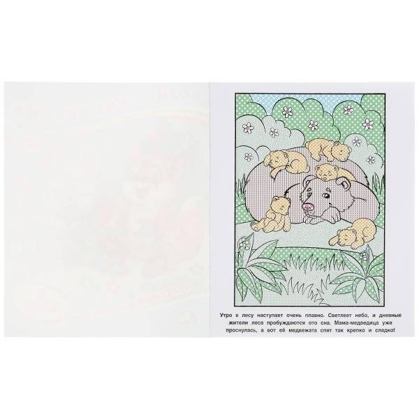 Чудесный день в лесу. Водная раскраска фото книги 2