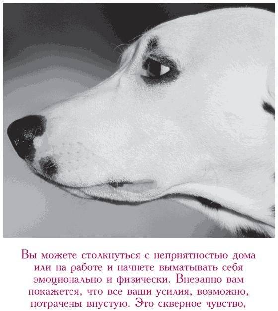 Капелька храбрости. Как достойно встречать трудности жизни фото книги 6