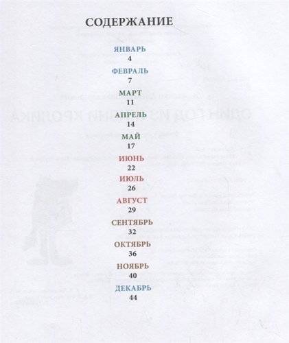 Один год из жизни кролика фото книги 6