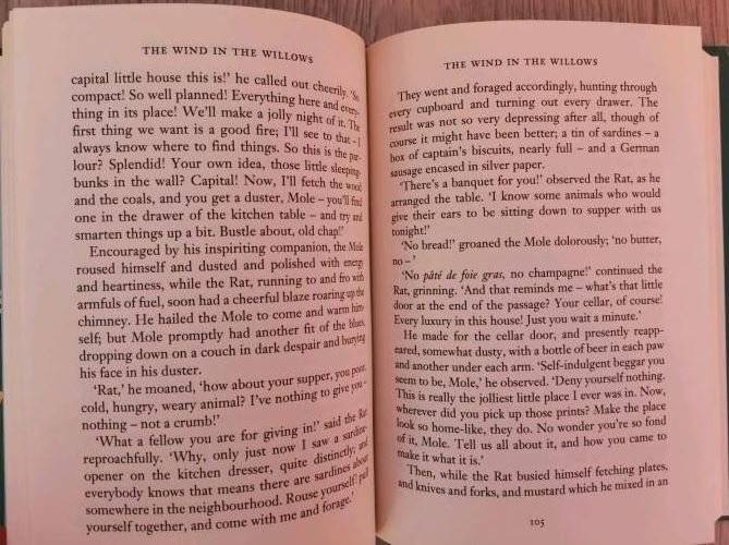 The Wind in the Willows фото книги 3