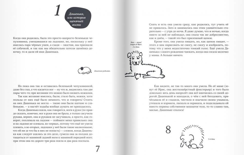 Дашенька, или история щенячьей жизни фото книги 3