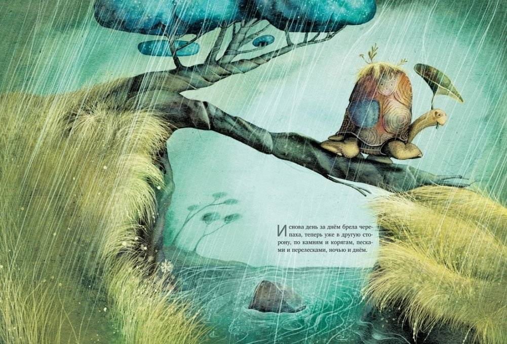 Транквилла Неуклюжевна, или Сказка о черепахе, которая приняла твёрдое решение фото книги 5