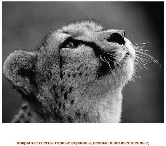 Дорогой папочка. Отец, друг и герой фото книги 5