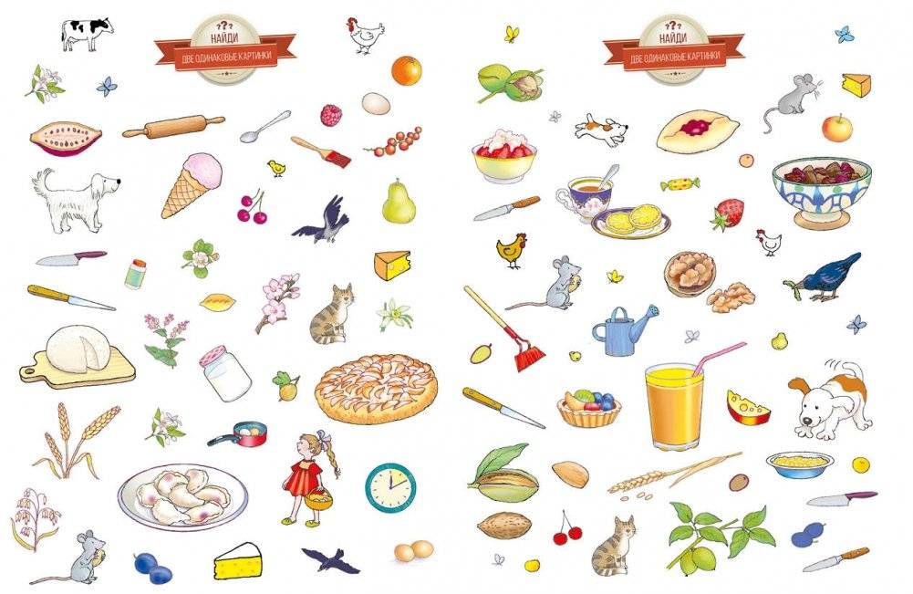 Суета вокруг пирога. Где мы были и что узнали фото книги 3