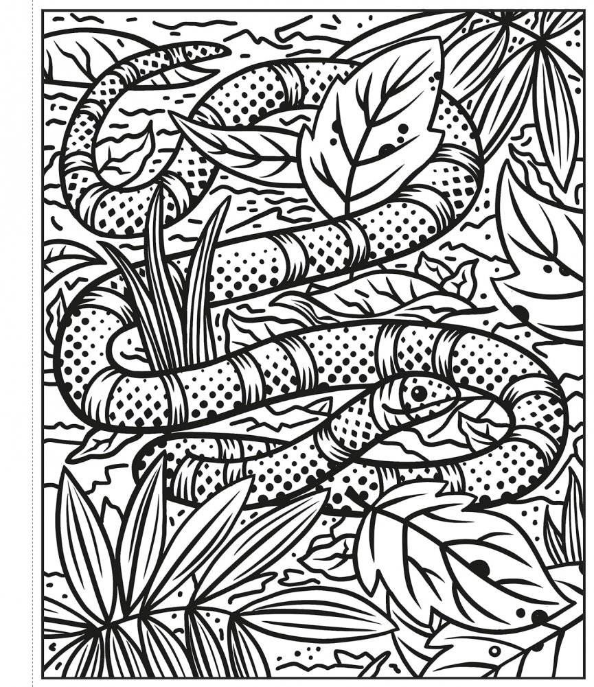 Rainforest Magic Painting Book фото книги 4