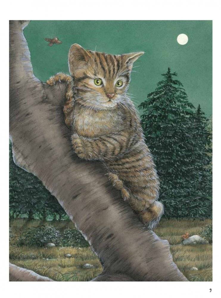 Моя самая красивая книга о кошках и собаках фото книги 6