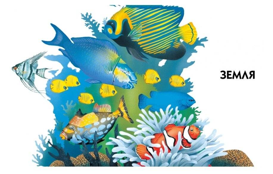 Новая детская энциклопедия фото книги 8