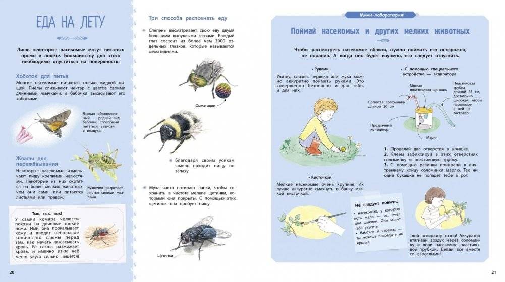 Насекомые и другие маленькие животные фото книги 4