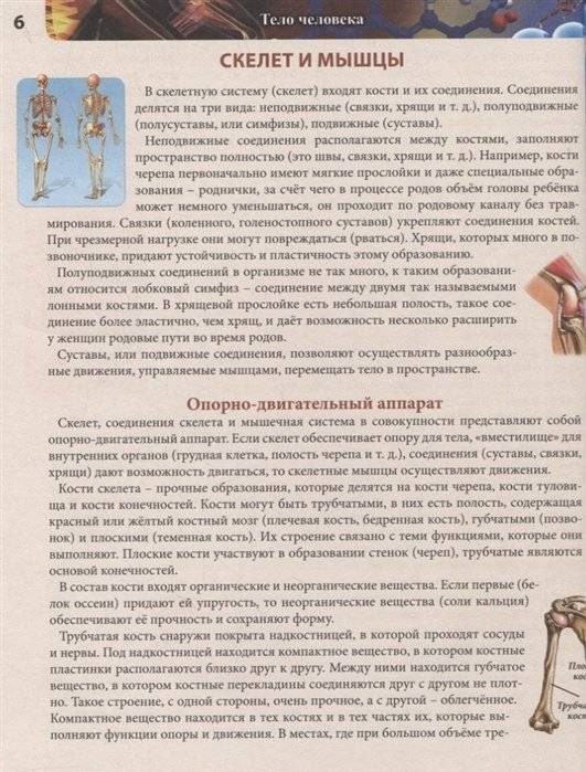 Энциклопедия. Тело человека фото книги 5