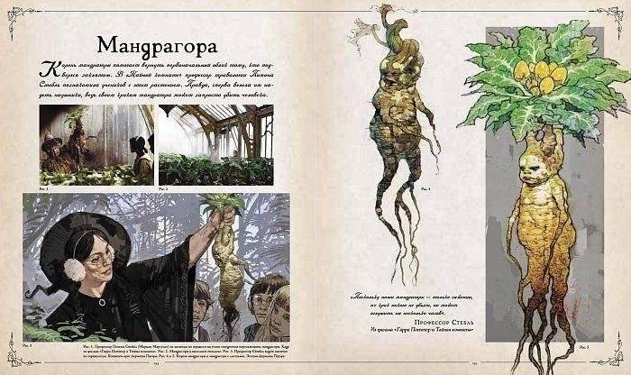 Гарри Поттер. Фантастические существа фото книги 5