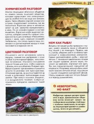 Подводный мир. Детская энциклопедия фото книги 3