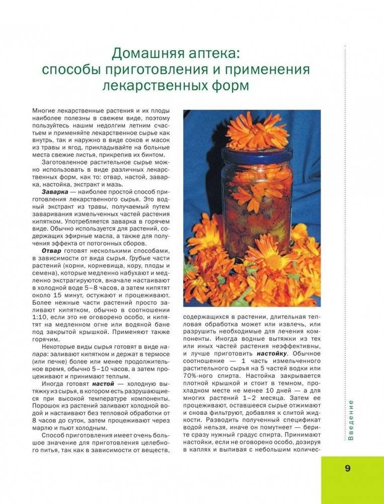 Большая иллюстрированная энциклопедия лекарственных растений фото книги 9