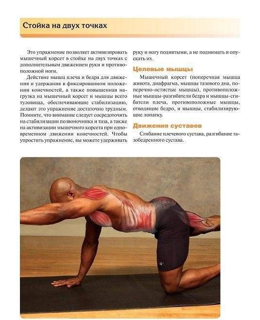 Мышечная механика фото книги 9