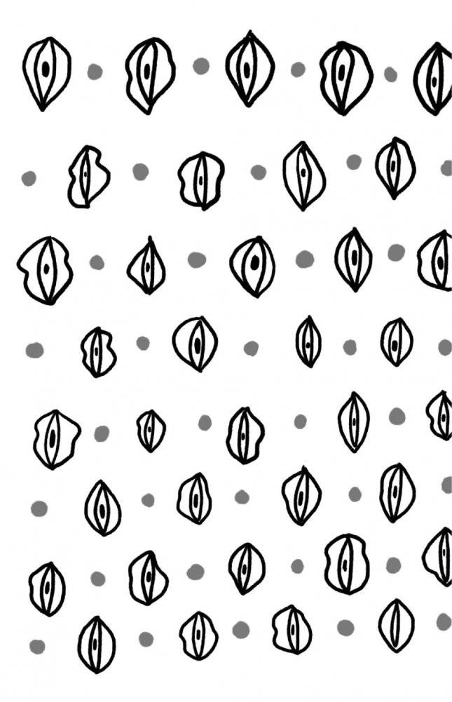 Viva la vagina. Хватит замалчивать скрытые возможности органа, который не принято называть фото книги 2