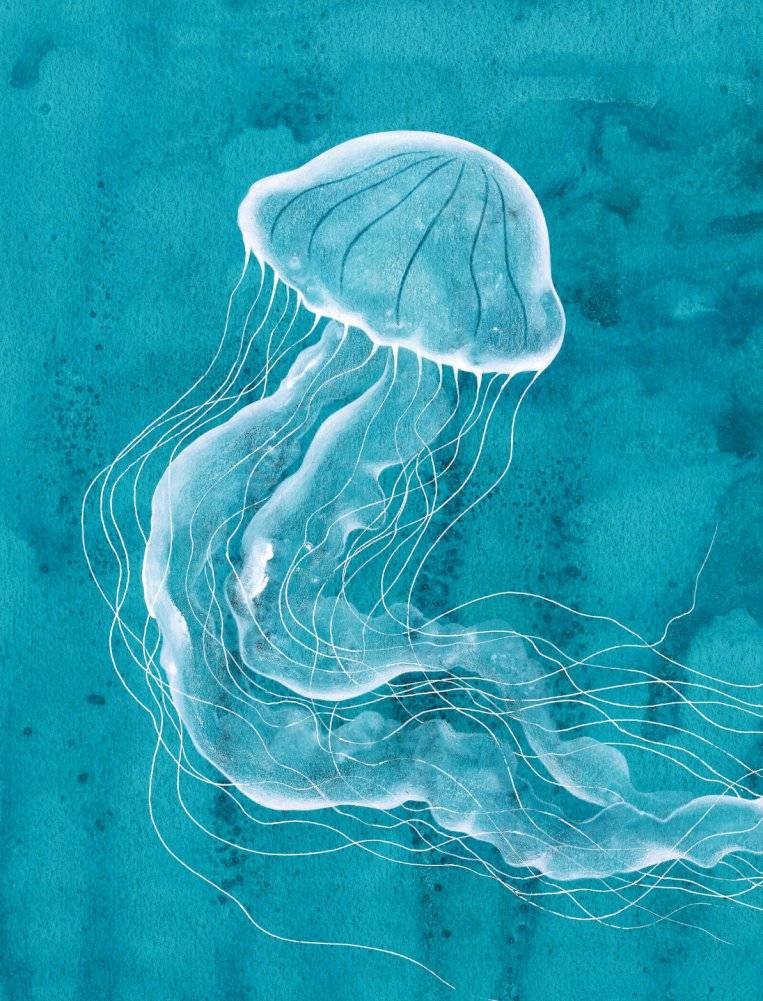 Остров мечты. Секрет стражей леса фото книги 13