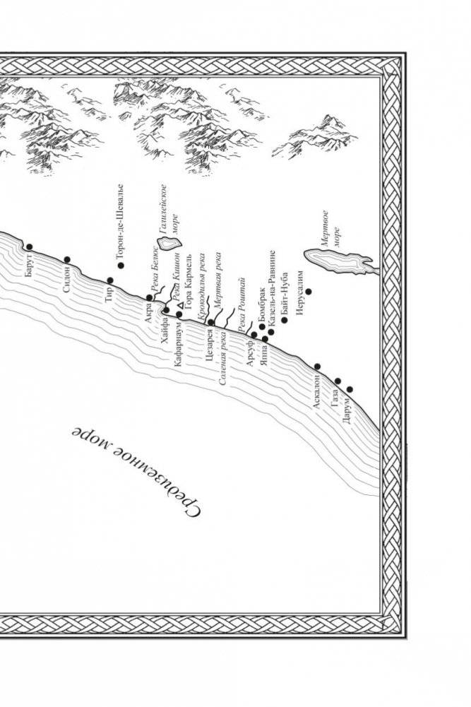 Крестоносец фото книги 8