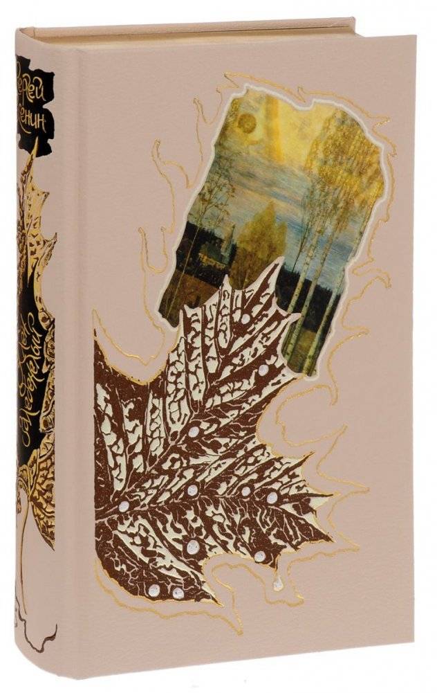 Клен заледенелый (кожаный переплет) фото книги 4