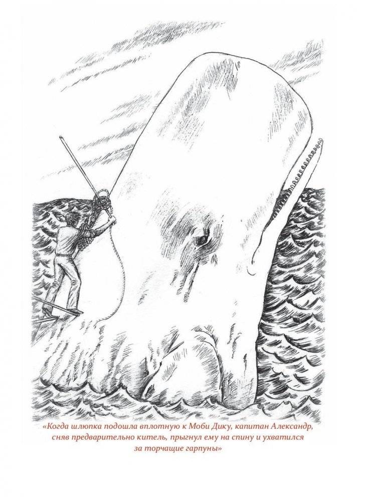 Путешествие капитана Александра. Киты и люди фото книги 9