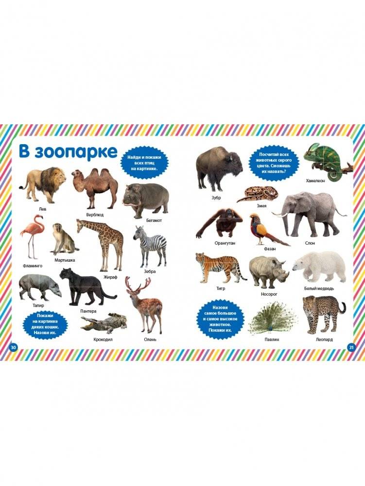 Мир вокруг нас. Фотокнига для малышей фото книги 5