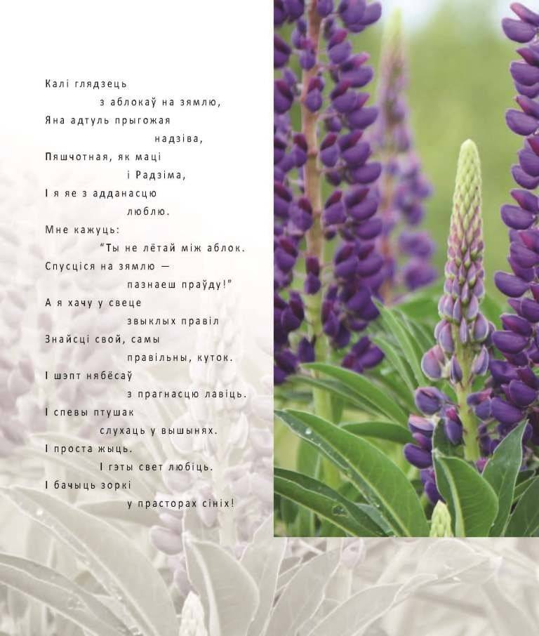 Маці-Зямля фото книги 3