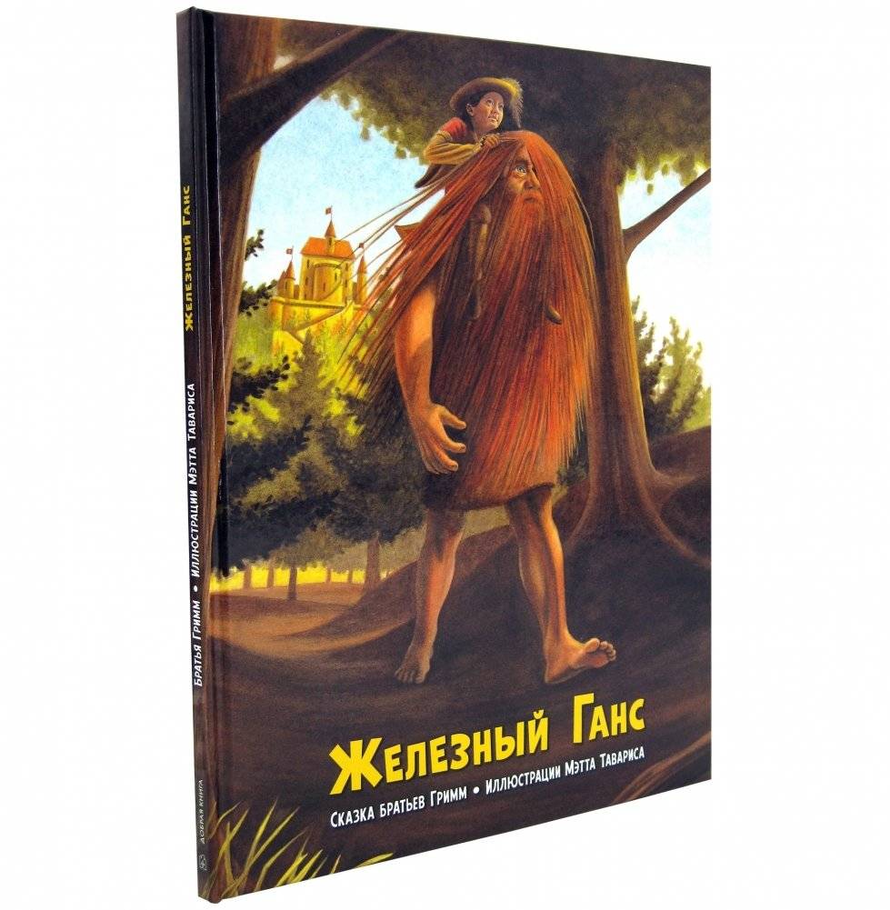 Железный Ганс фото книги 4