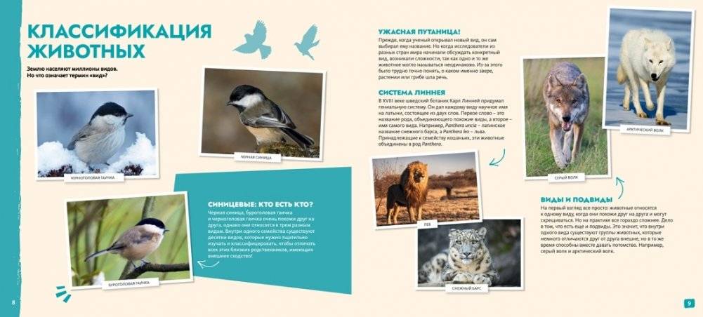 S.O.S. Красная книга фото книги 3