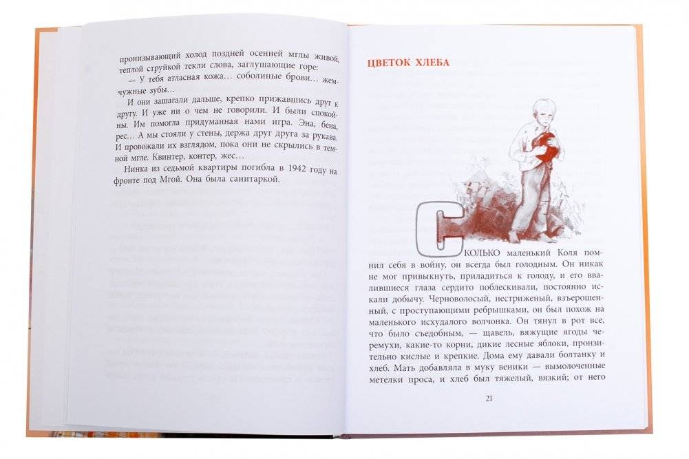 Друг капитана Гастелло фото книги 4