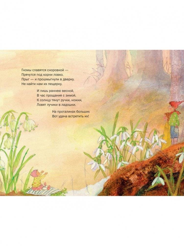 Идём в царство гномов фото книги 4