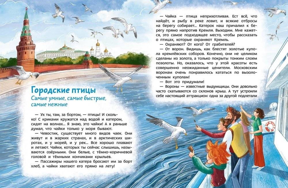 Птицы. Детская энциклопедия (Чевостик) фото книги 4