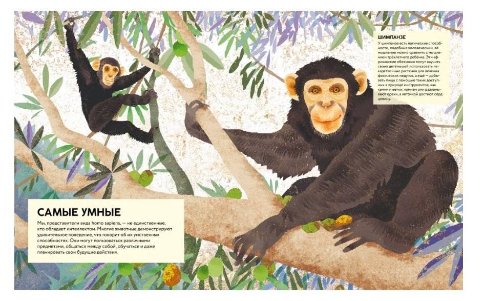 Удивительные животные. Самые-самые фото книги 3