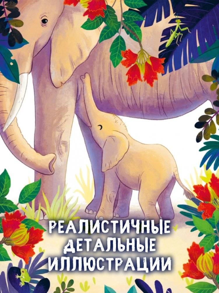 Малыш слонёнок. Приключения в Африке фото книги 4