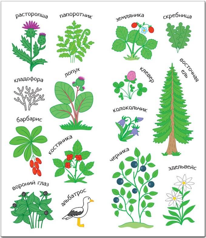 Раскрась Россию. Кавказ фото книги 3