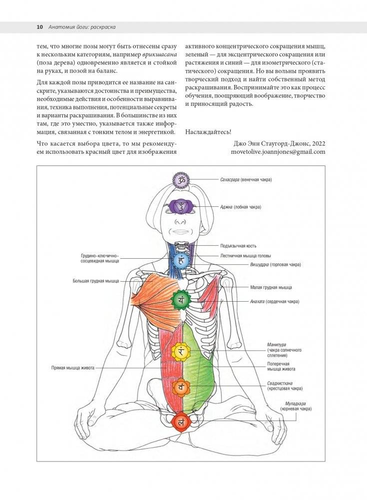 Анатомия йоги: раскраска. Изучите форму и биомеханику более чем 50 асан фото книги 6