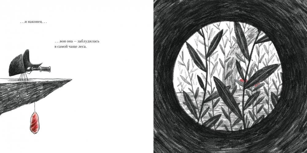 Из ниоткуда фото книги 4