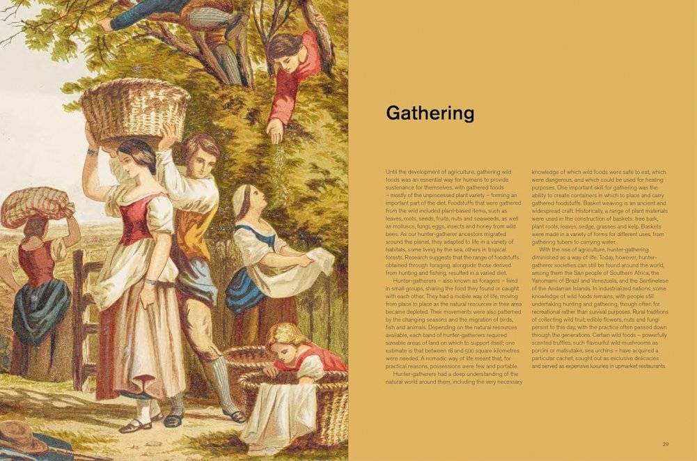 Repast (British museum): The Story of Food фото книги 5