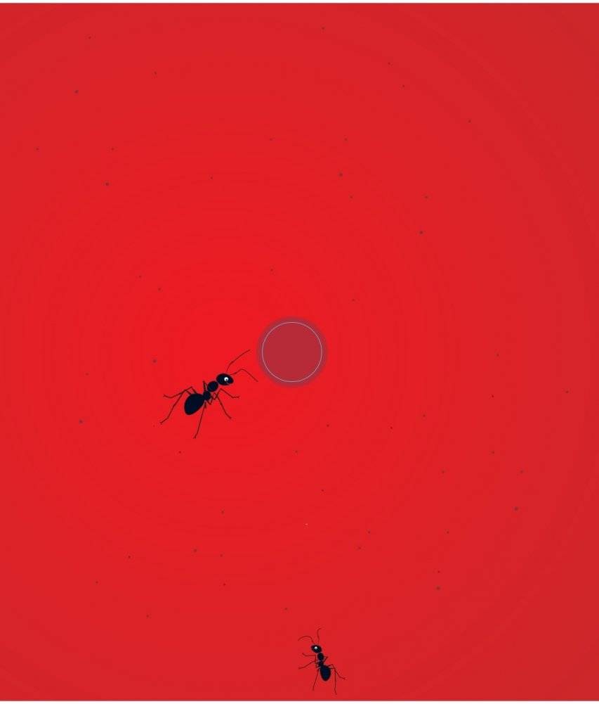 Что за фрукт? фото книги 3