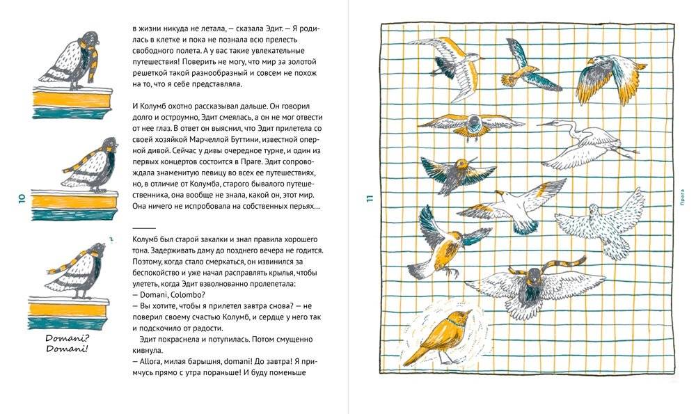 Голубь Колумб фото книги 3
