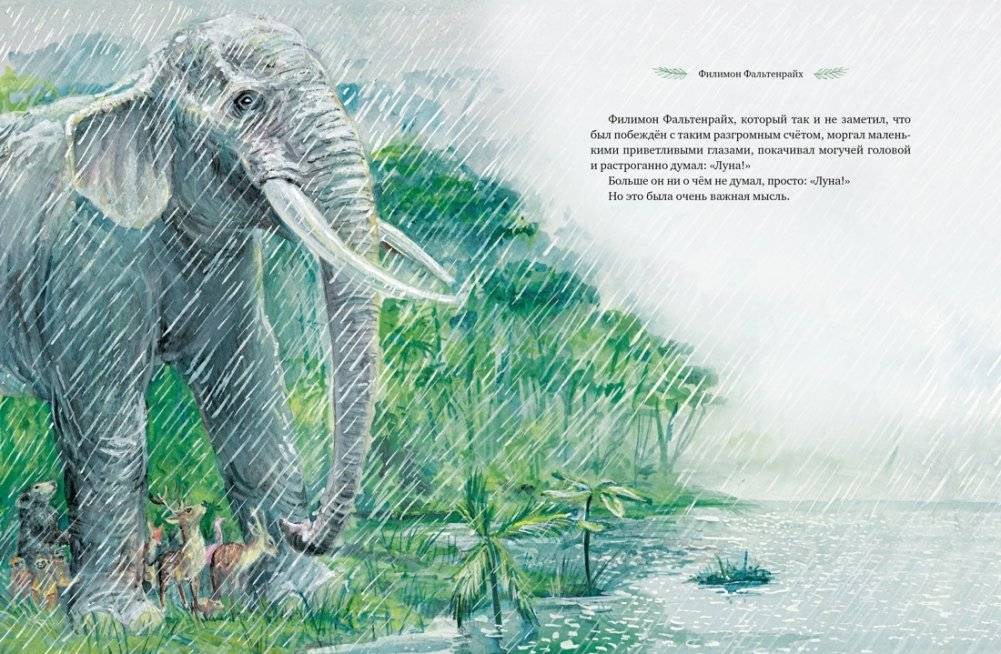 Самые красивые сказки о животных фото книги 6