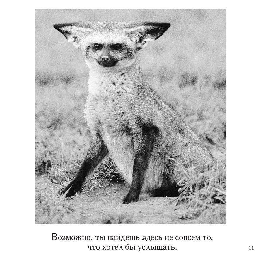 Смысл жизни фото книги 8